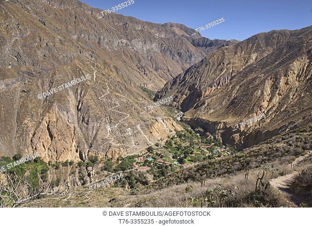 Sangalle Oasis and the wild steep trail climbing out of the Colca Canyon, Peru