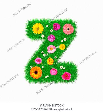 Letter Z made of grass and colorful flowers, spring concept for graphic design collage