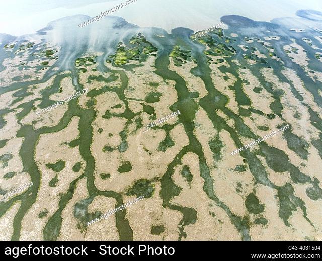 Network of channels and streams at low tide at their confluence with a larger body of water. In the marshland of the Bahía de Cádiz. Aerial view