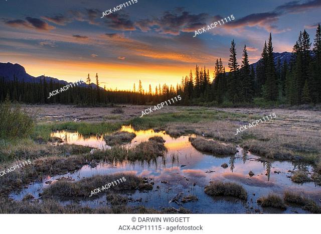 Sunrise over Whitegoat Lakes - Kootenay Plains - Alberta, Canada