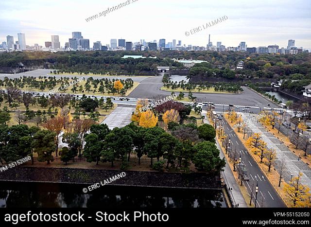Illustration picture shows the Imperial park during the Belgian Economic Mission to Japan, Monday 05 December 2022 in Tokyo