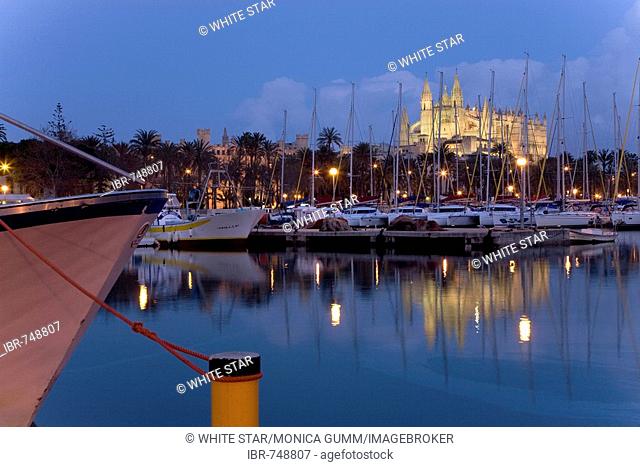 Fishing boats in the harbour at dusk and La Seu Cathedral (back), Palma, Majorca, Balearic Islands, Spain