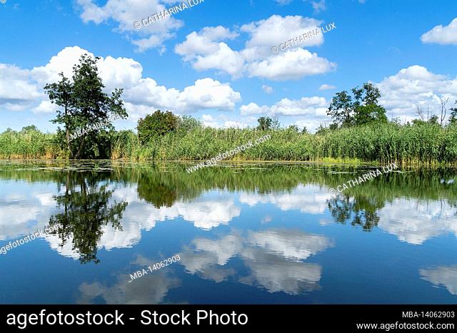 peenetal river landscape nature park, swinow river near güstrow, mirroring