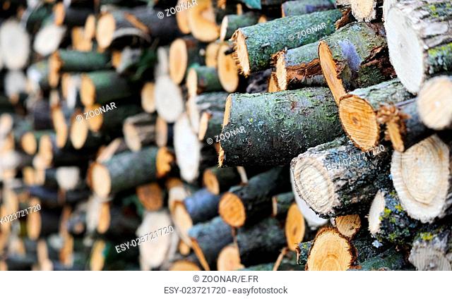 Firewood is in stock for drying