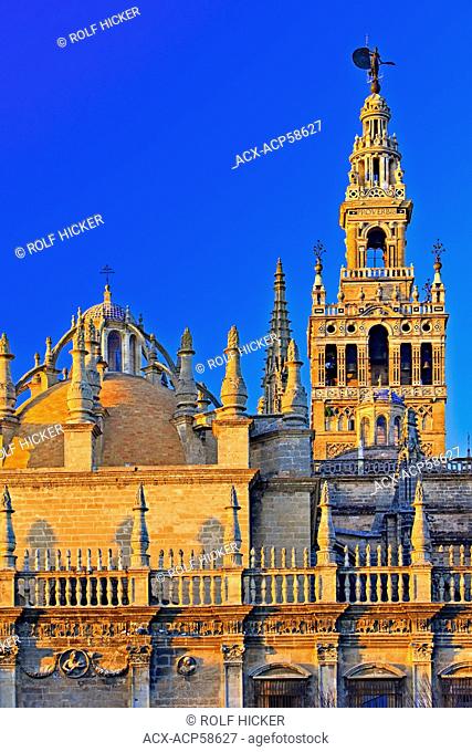 Seville Cathedral and La Giralda bell tower/minaret, a UNESCO World Heritage Site, seen from Plaza del Triunfo at Sunset, Santa Cruz District
