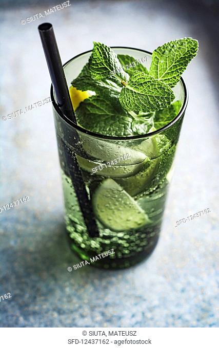 Sparkling water with lime, lemon and mint