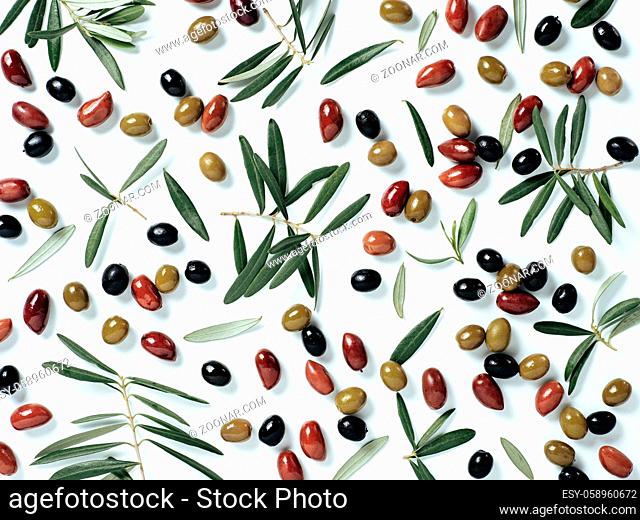 Beautiful pattern with green, black and red olives and olives tree leaves and branches on white background. Mix olive tree fruits and branches as pattern