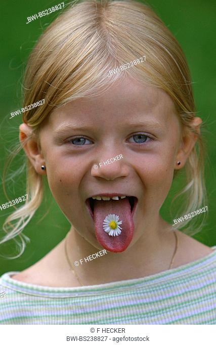 common daisy, lawn daisy, English daisy Bellis perennis, girl with a flower on her tongue, Germany