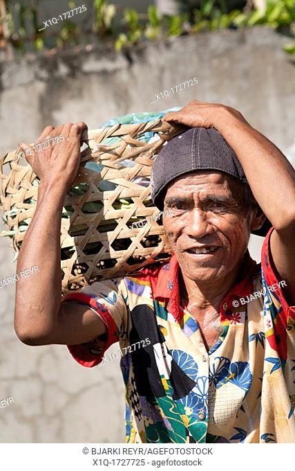 Street vendor carrying a basket full of Gabi  Cebu City, Cebu, Visayas, Philippines