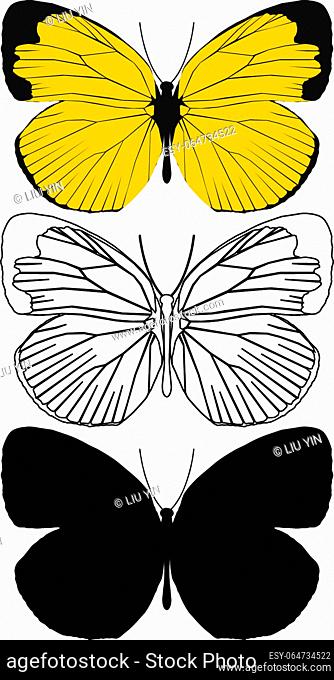 Layered editable vector illustration of Butterfly Pattern