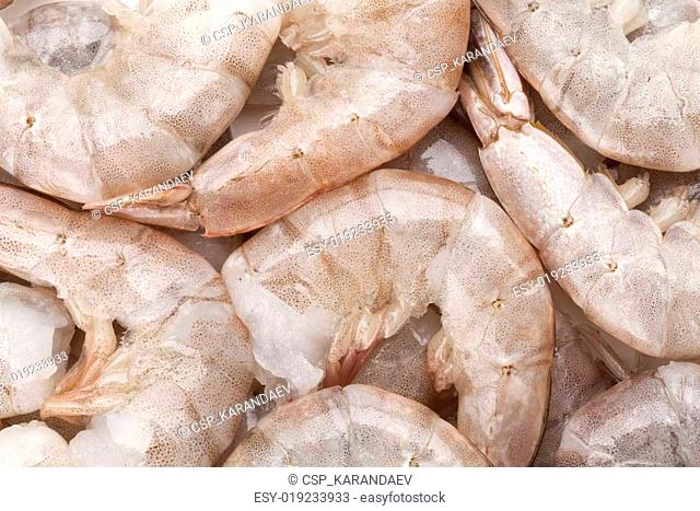 Raw uncooked shrimps
