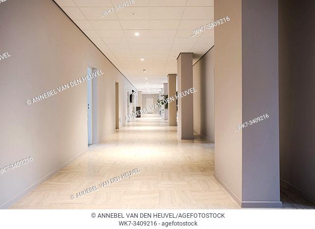 Long office hallway modern design, empty and clean interior white walls
