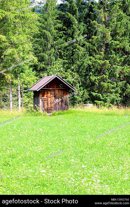 Hut near Krün, green meadow, forest, inviting, Krün, Upper Bavaria, Isartald, Bavaria, Germany