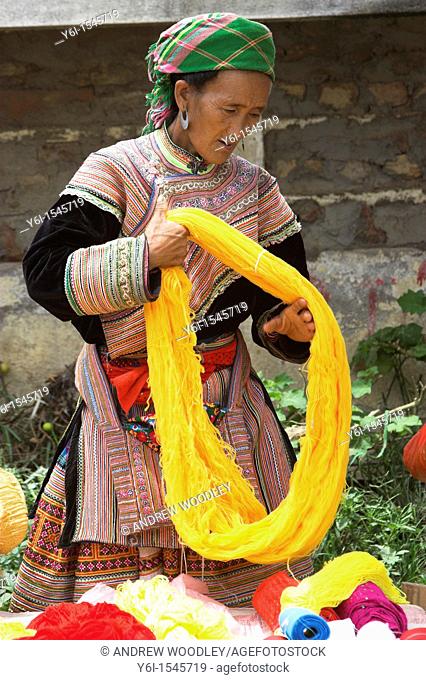 Woman sorting bright yellow yarn Bac Ha hilltribe market known for colourful Flower Hmong traders north Vietnam
