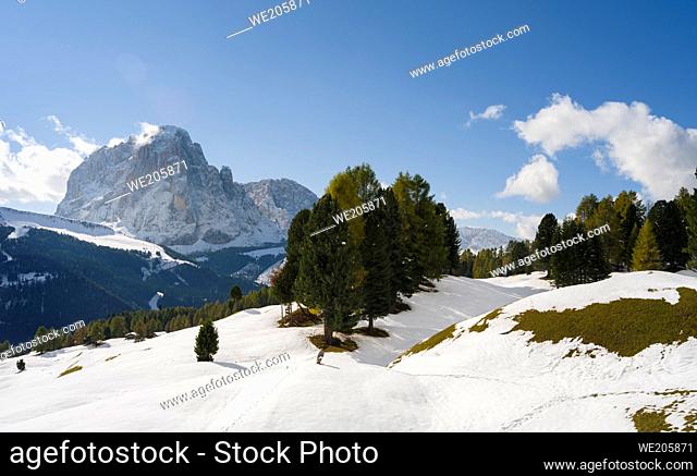 Mount Langkofel, Sasso Lungo, in the dolomites of South Tyrol - Alto Adige seen from Groeden Valley - Val Gardena. The dolomites are listed as UNESCO World...