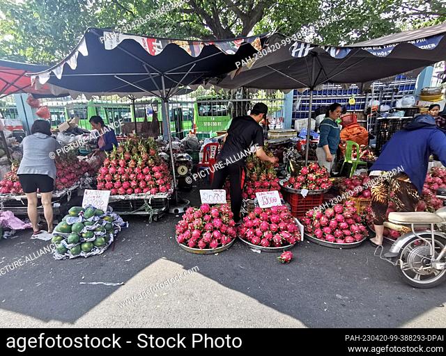05 March 2023, Vietnam, Ho-Chi-Minh-Stadt: Dragon fruits lie for sale at a market in Ho Chi Minh City. Photo: Alexandra Schuler/dpa