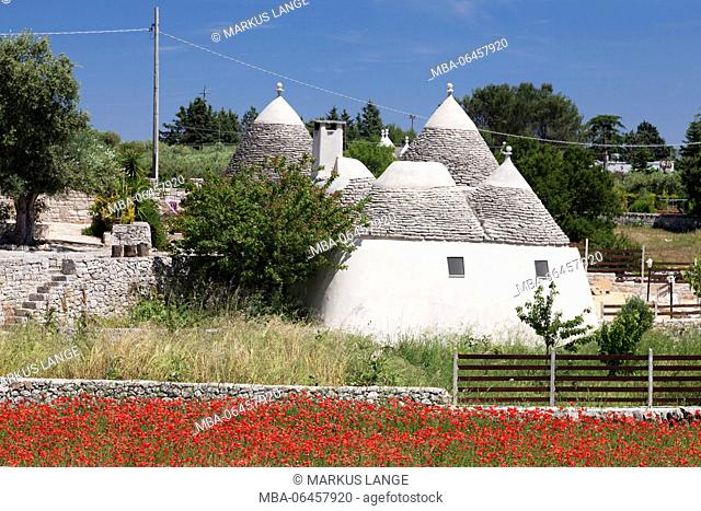 Trulli houses, poppy seed field, close Alberobello, UNESCO world cultural heritage, Valle d'Itria, province of Bari, Apulia, Italy