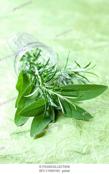 Fresh sage and rosemary in a glass on its side