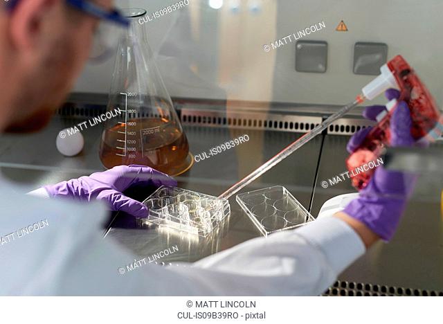Scientist in laboratory using electronic pipette and multiwell plate