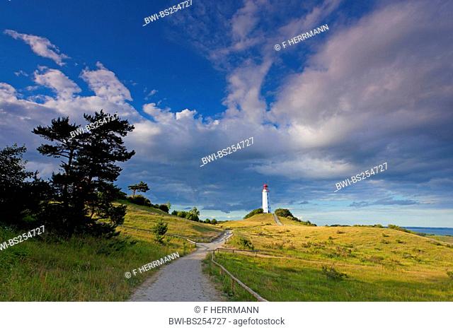 path through the dunes to the lighthouse in morning light, Germany, Mecklenburg-Western Pomerania, Hiddensee