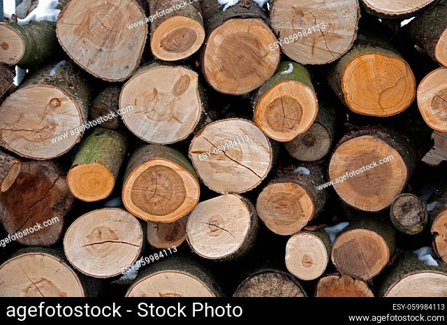 cut trees as a wooden background