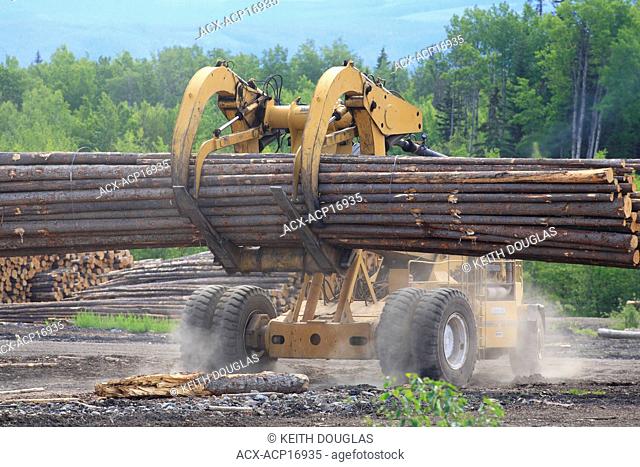 LeTourneau log loader working in sawmill log yard, Houston, British Columbia, Canada