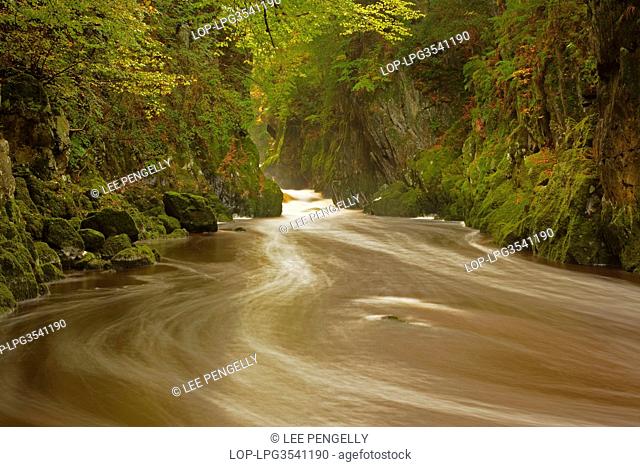 Wales, Conwy, Betws-y-Coed. Autumnal view of a fresh water ravine known as the Fairy Glen in Snowdonia National Park