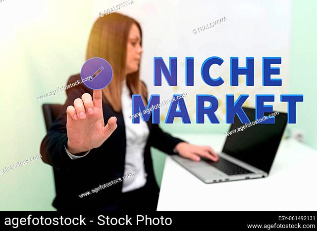 Text caption presenting Niche Market, Business approach Subset of the market on which specific product is focused Woman Typing Updates On Lap Top And Pointing...