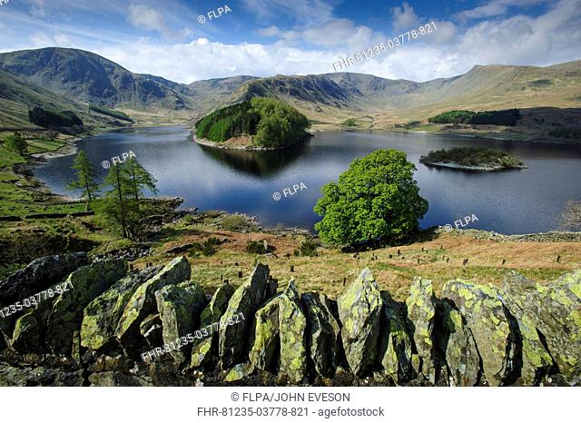 View over drystone wall towards upland reservoir, Haweswater Reservoir, Mardale Valley, Lake District, Cumbria, England, april