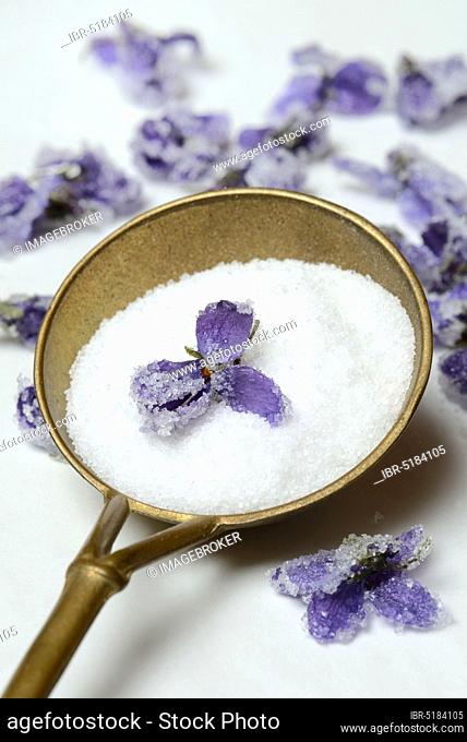Candied violet flowers on sugar, in ladle, candied, violet flowers