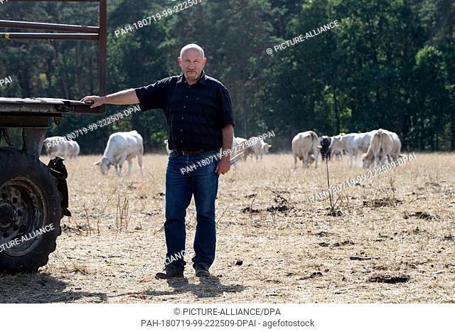 18 July 2018, Germany, Wildenhain: Farmer Matthias Boebel of the Agrarprodukte eG cattle raisers' group standing in a dry meadow