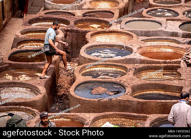 Fes, Morocco, Famous tannery in the medina of Fes, where leather is being processed for generations, Morocco