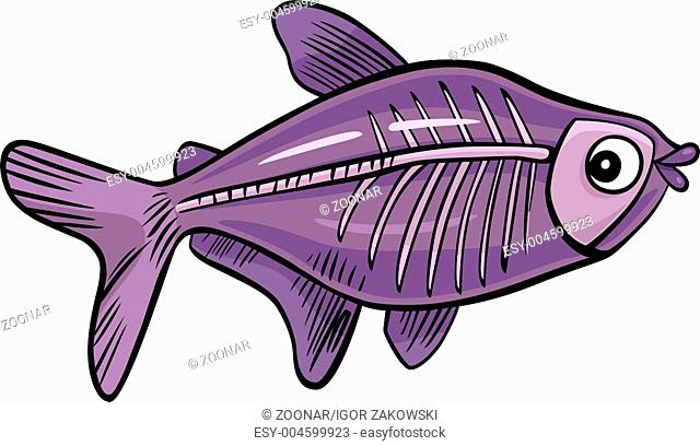cartoon x-ray fish