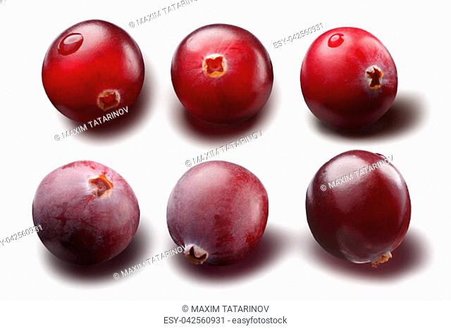 Cranberry (Vaccinium oxycoccos), single berries. Clipping path for each berry, shadows separated