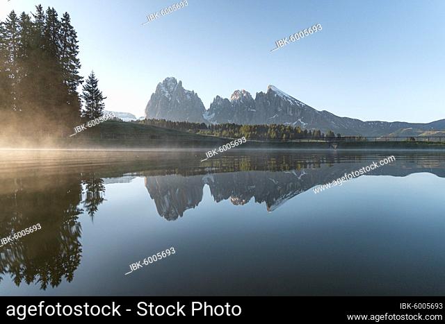 Reflection with golden morning navel from the Sassolungo and Plattkofel in See, Alpe di Siusi, South Tyrol, Italy, Europe