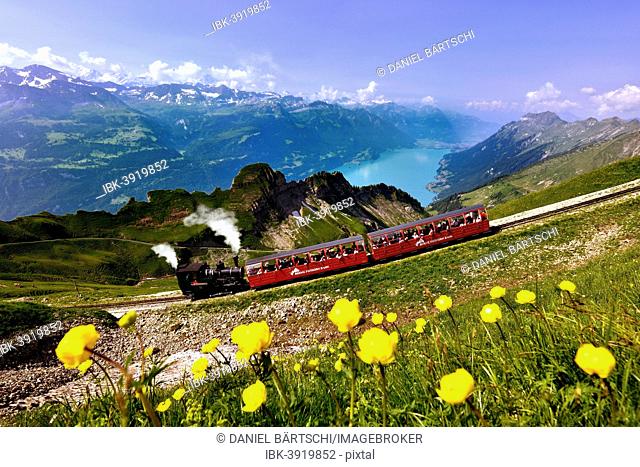 View of the Brienz-Rothorn railway, Lake Brienz and the Bernese Alps, Rothorn mountain, Brienz, Canton of Bern, Switzerland