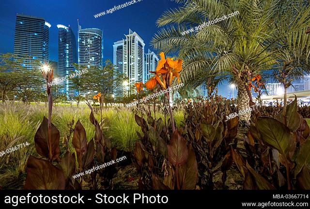 Green area with palm trees and flowers on an interchange on Sheikh Zayed Road overlooking high-rise buildings in Jumeirah Lakes Towers (JLT) at night, New Dubai
