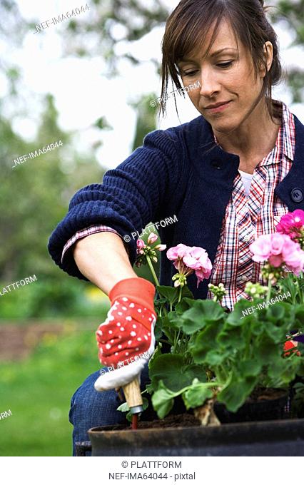 Portrait of a woman setting flowers in a pot