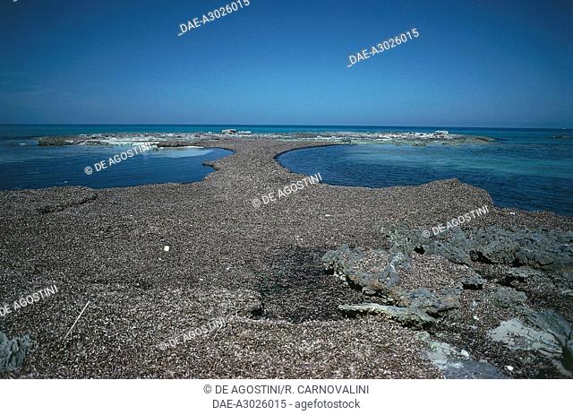 Beach at Penna Grossa Point, Marine Nature Reserve of Torre Guaceto, Apulia, Italy