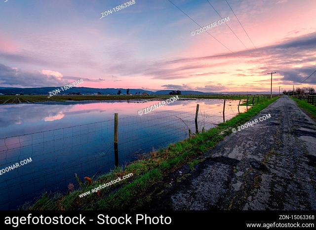 A flooded field along a country road at sunset