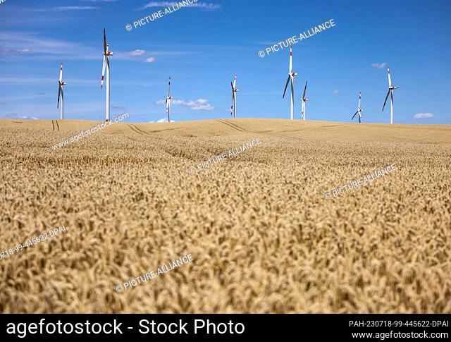 18 July 2023, Sachsen-Anhalt, Hohenmölsen: Onshore wind turbines rotate over a cornfield in the state of Saxony-Anhalt. Germany increased the installation of...