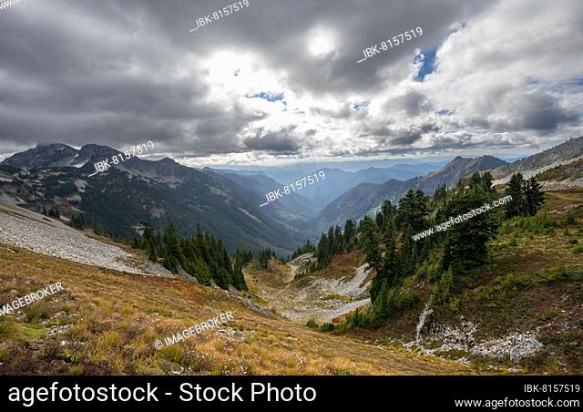 View into the valley of Butter Creek, autumnal mountain landscape, Mount Rainier National Park, Washington, USA, North America