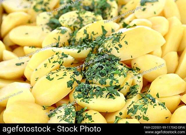 27 April 2022, Thuringia, Kutzleben: Parsley potatoes on the buffet at the opening of the asparagus season at Spargelhof Kutzleben