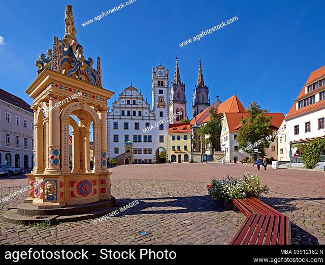 Neumarkt with fountain, town hall and Aegidienkirche in Oschatz, Landkreis Nordsachsen, Saxony, Germany