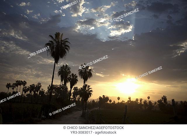 Sunrise in Todos Santos, Baja California, Mexico