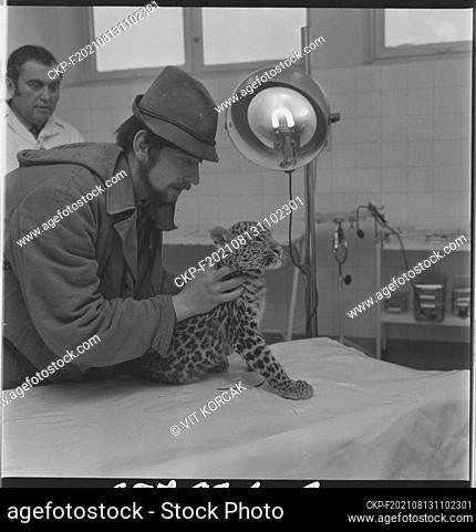 ***FEBRUARY 7, 2023, FILE PHOTO***  An extraordinary clinic for patients - exotic animals was built by the University Veterinary Hospital in the Zoological...