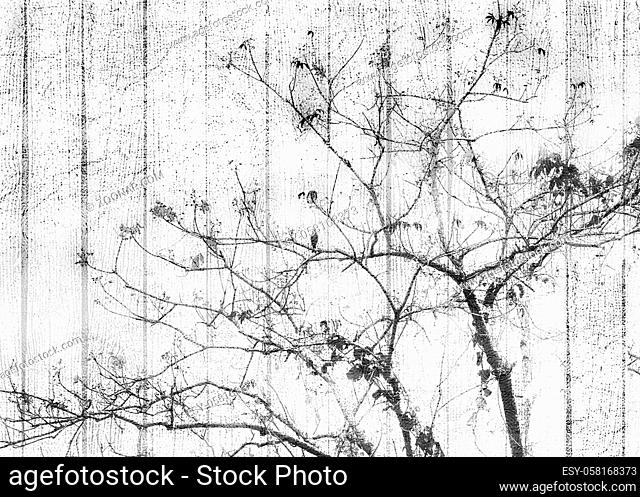 Grungy shabby chich style manipulated tree photo over textured background