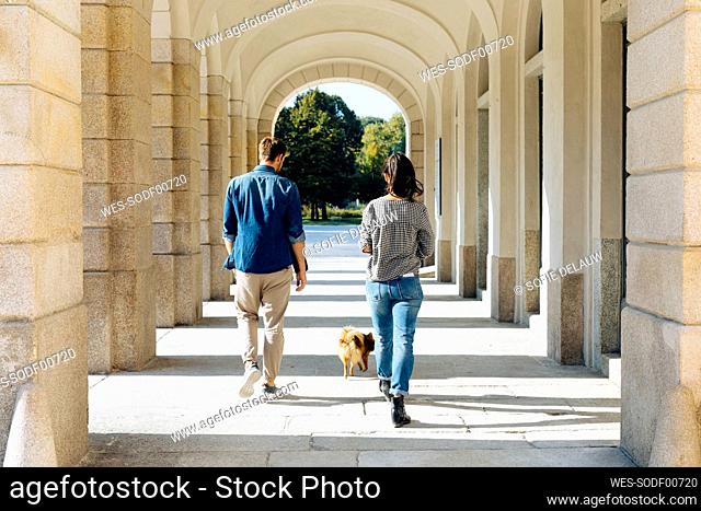 Rear view of young couple walking with dog in an arcade