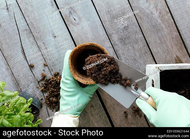 Gardening hobby concept. Eco pot, green plant, gardener hands in gloves, shovel on wooden background flat lay. High quality photo
