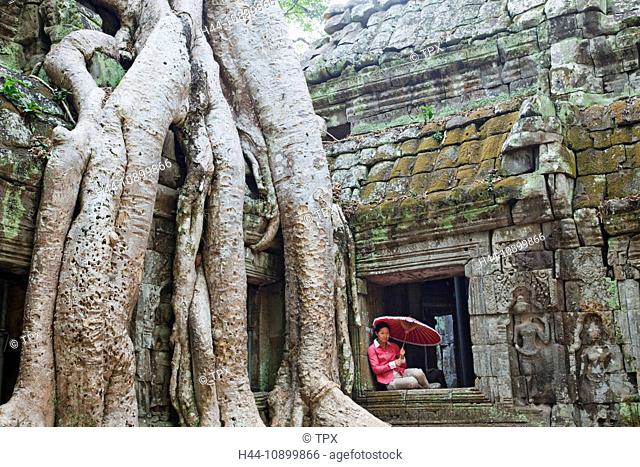 Asia, Cambodia, Siem Reap, Angkor, Ta Prohm, Ta Prohm Temple, Buddha, Buddhist, Buddhism, Tree, Trees, Roots, Nature, Vines, UNESCO, UNESCO World Heritage Sites